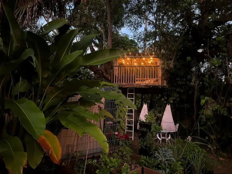 Miami Pool Cottage in El Portal — отель с удобствами в Майами
