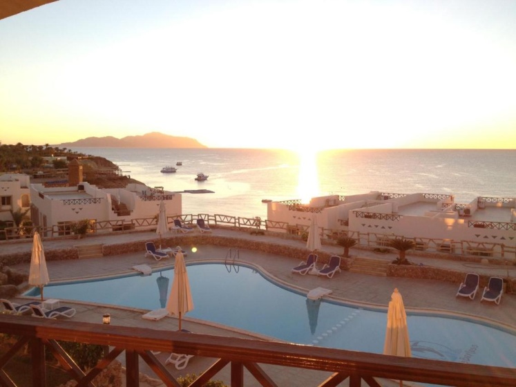Sharks Bay Oasis Apartment — отзывы гостей и цены