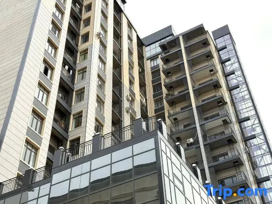 City Apartments Frunze 466/43 — отель с удобствами в Бишкек