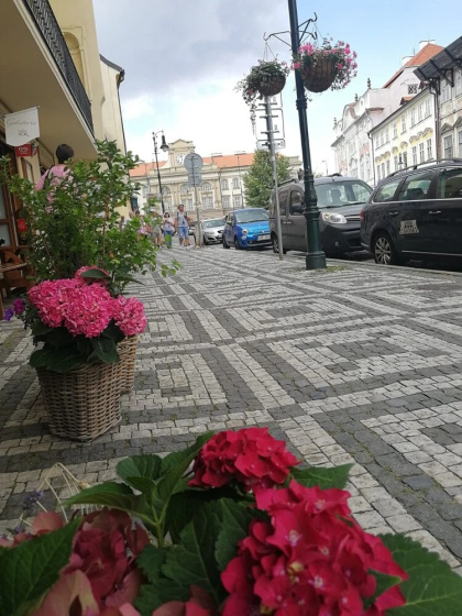 The Green Garden Apartment — забронировать отель в Праге
