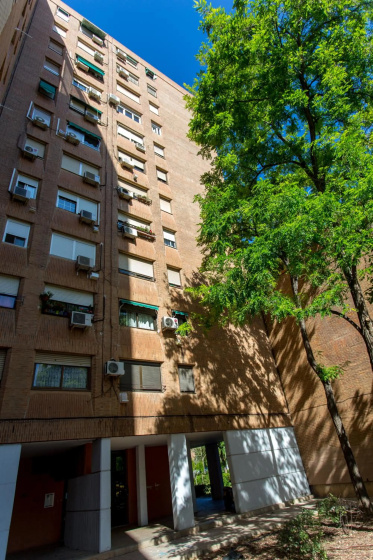 Apartment near City of Arts — отзывы гостей и цены