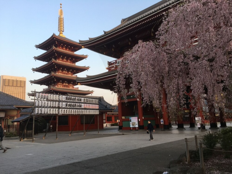 Oriental Lodge Asakusa — забронировать отель в Токио