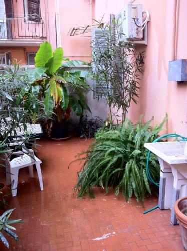 Ottimista B&B — отель в Риме, Италия