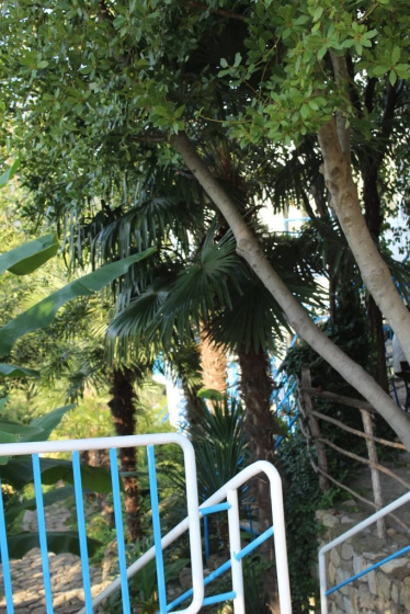 Kovcheg Guest House — отель с удобствами в Сочи