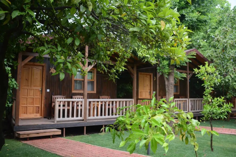 Caretta Caretta Pension — отель с удобствами в Чиралы