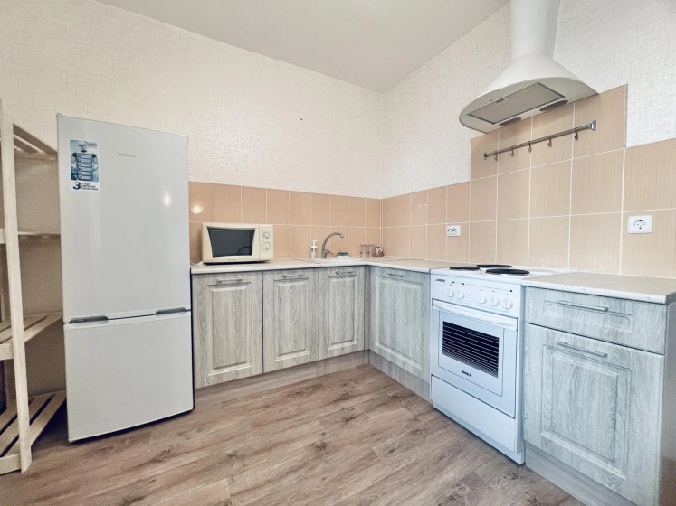 Цены на Vegas apartments (Вегас апартментс) на улице Левобережная в Нижнем Новгороде