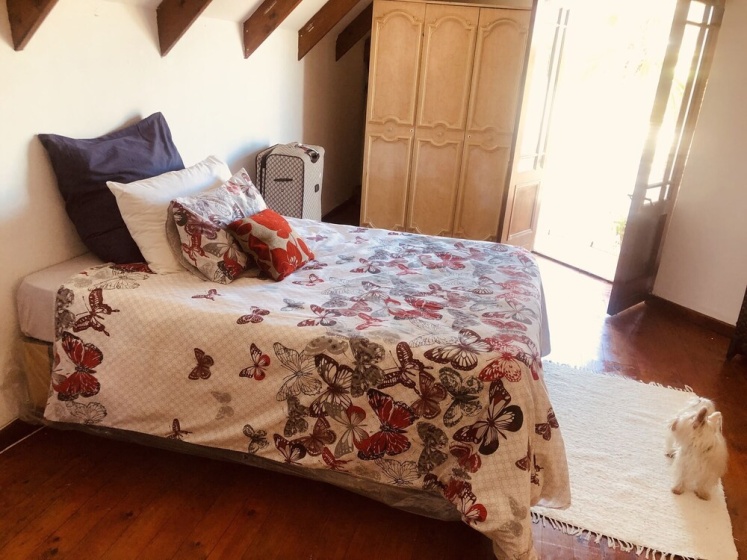 Zagorski Guest House — забронировать отель в Кейптауне