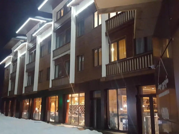 Duplex Apartment in New Gudauri near Gondola — комфортный отель в Гудаури