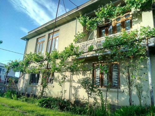 Teya Guest House — комфортный отель в Очамчира
