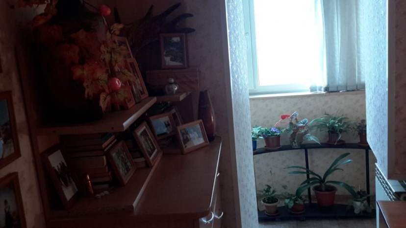 Na Bogatyrskom Apartment — отель в Санкт-Петербурге, Россия