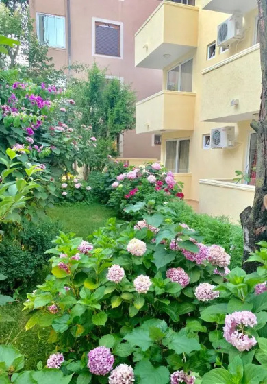 The Franeta Apartments Lux — забронировать отель в Будва