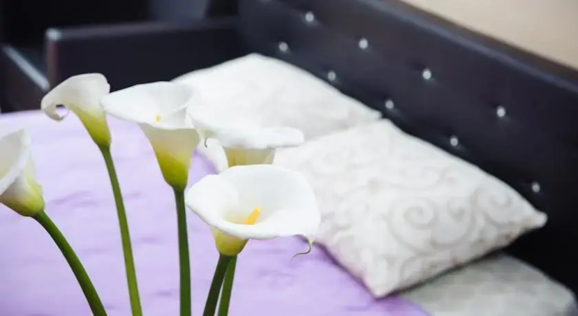 Bed & Breakfast Taurus Apartments — отзывы гостей и цены