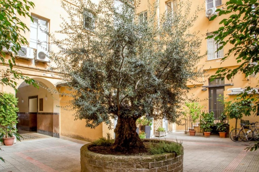 Цены на Vatican Studio Apartment в Риме