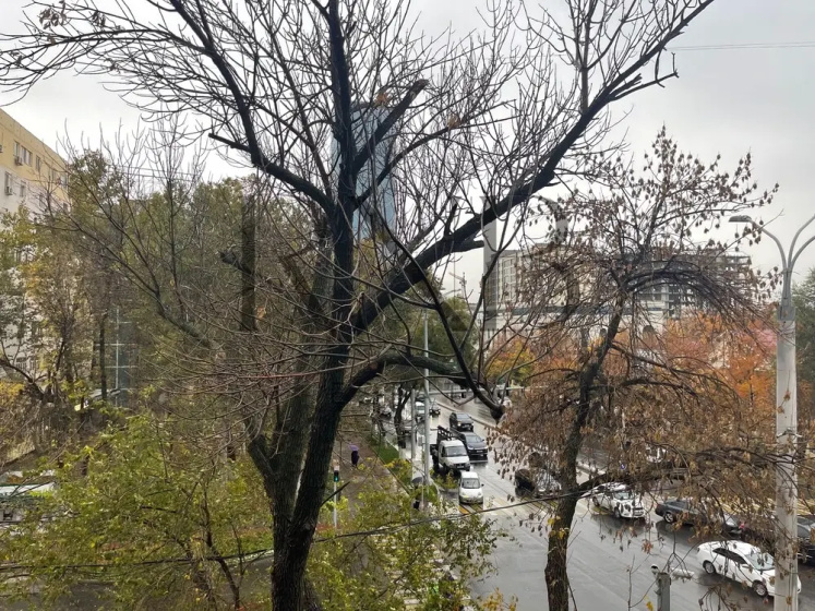 Real house Tashkent — забронировать отель в Ташкент