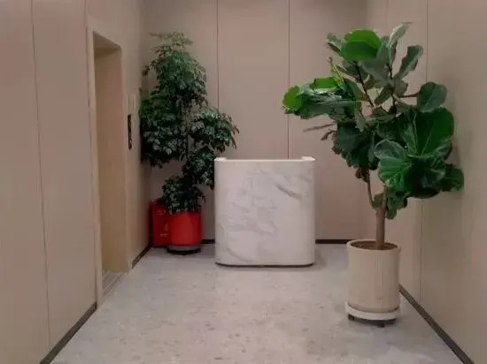 Цены на Rui Yi apartment в Шэньчжэне