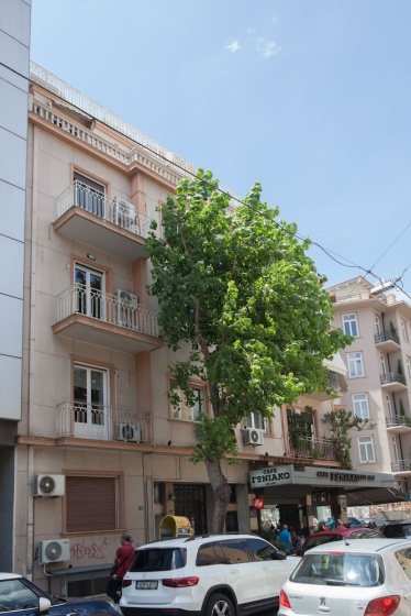Цены на Charming Urban Oasis at Megaro Mousikis в Афины