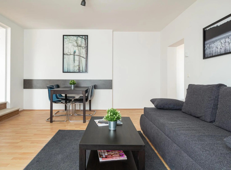 Apartment Mariahilfer Strasse — отель с удобствами в вене