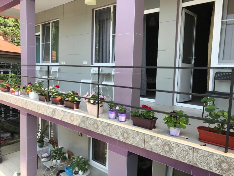 Guest House REGAN 3 — отель в Гагра, Абхазия