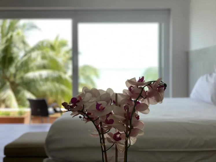 CT Apartments - Small Piece of Paradise - Apartment in كانكون - Photo 4