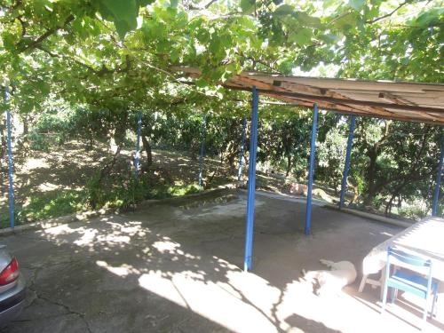 Guest house Mandarinovyj sad — отель в Новый Афон, Абхазия