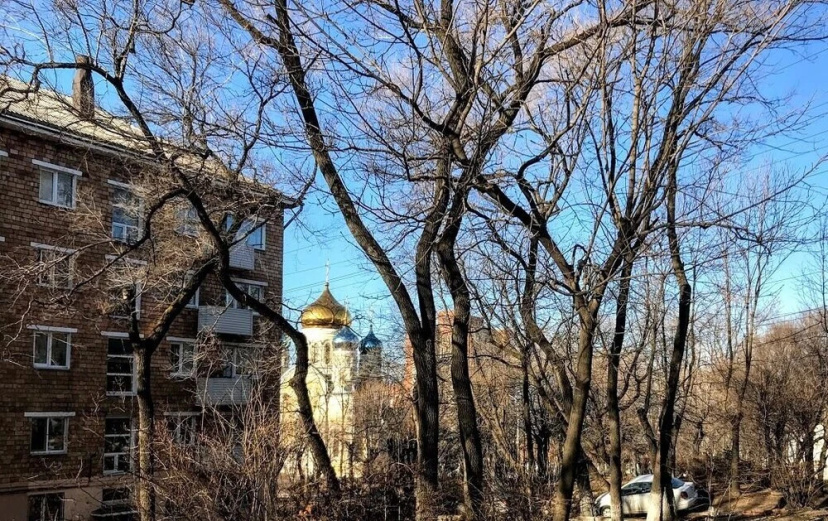 Цены на Уютные апартаменты в центре на Октябрьской, 20 в Владивостоке
