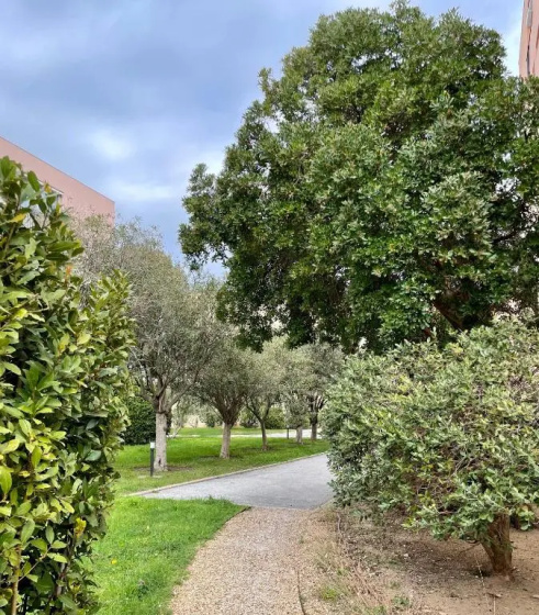 Appartement Saint Tropez — отель с удобствами в Сент-Тропезе