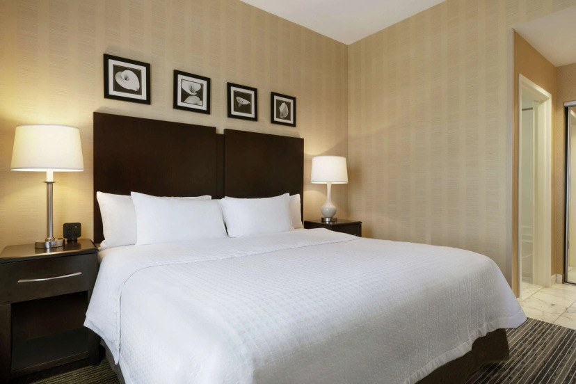 Homewood Suites by Hilton Newtown - Langhorne, PA - Hotel in لانغورن - Photo 2