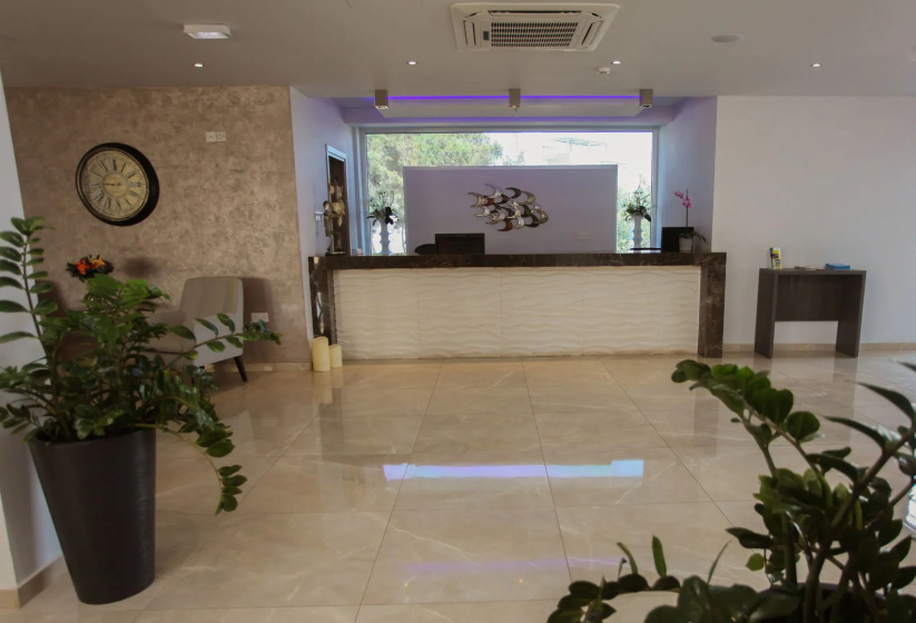 Bellini Hotel 3 — отель в Айя-Напа, Кипр
