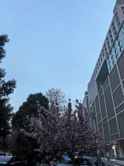 Beijing Yilejia Apartment — отель в Пекине, Китай