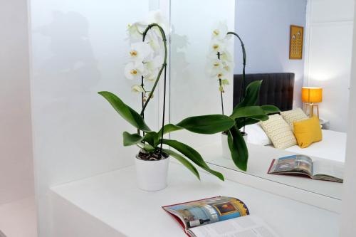 Laterano 238 Apartment — комфортный отель в Риме