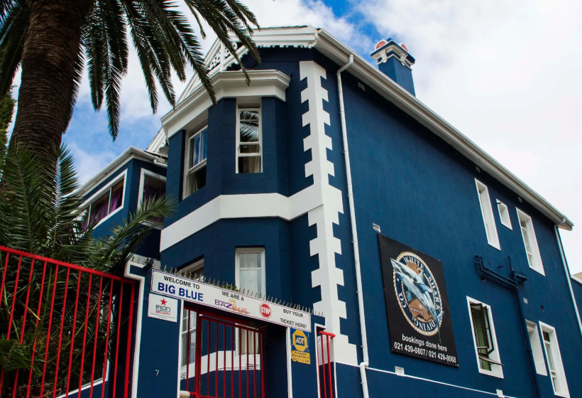 Big Blue Backpackers Lodge — отель с удобным расположением в Кейптауне