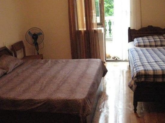 Guest House Romashka — забронировать отель в Батуми