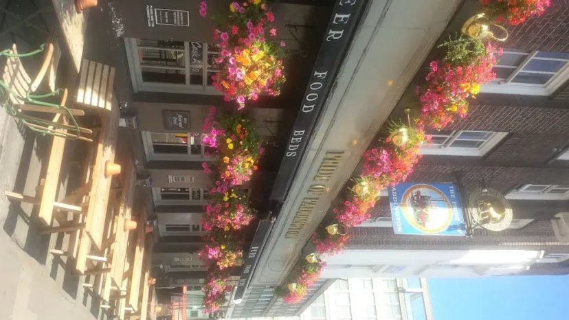 Цены на The Pride of Paddington в Лондоне