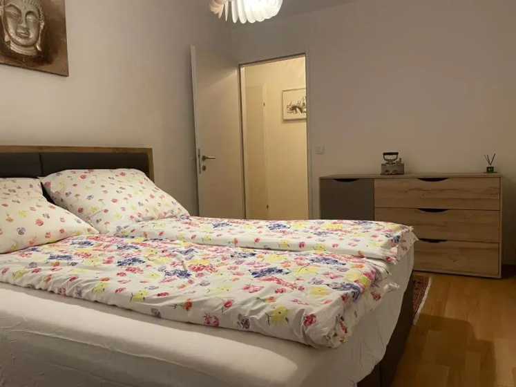 Цены на Lovely 3 rooms apartment viena в вене