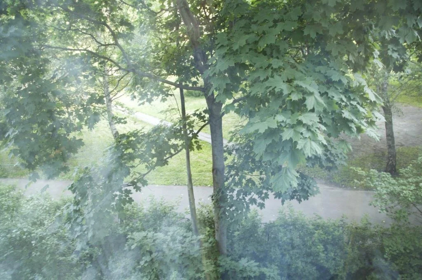 Window to the garden - Hotel in Moscú - Photo 1
