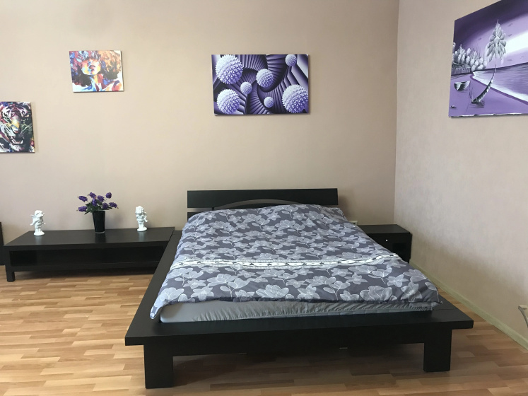 Квартира на Прачечном переулке 3 — отзывы гостей и цены