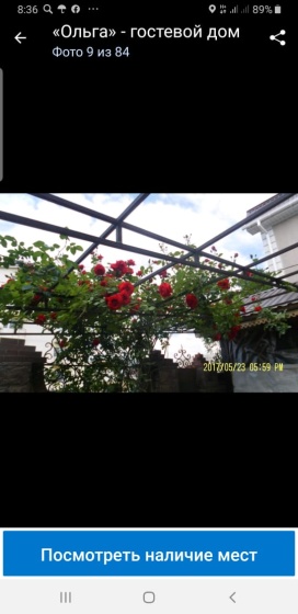 Цены на Olga Guest House в Анапе
