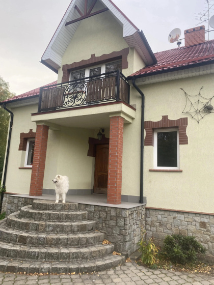 Частный дом Большой дом возле Светлогорска — отель в Светлогорске, Россия