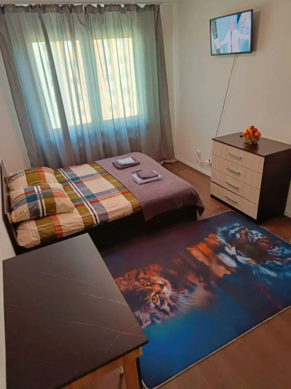 Квартира Квартира-студия 19,5 м² 13/24 этаж — отзывы гостей и цены