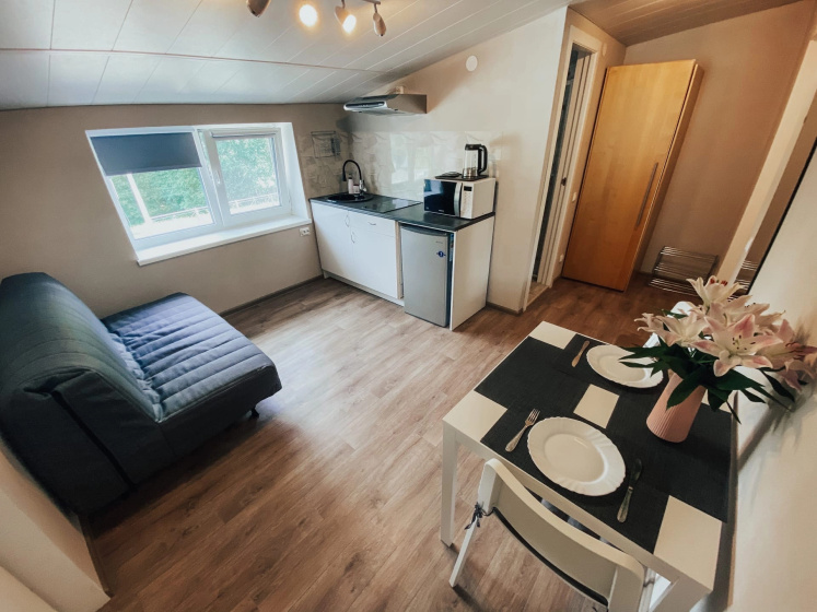 Mini-otel' Aleon — отель в Сортавала, Россия