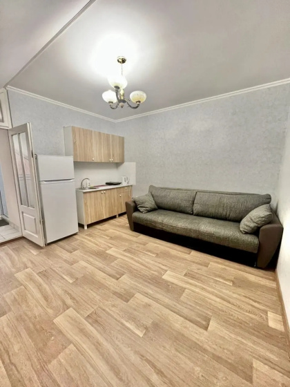 Апартаменты Адлер Чкалова д 42/1 № 10 Альфагид — отель в Сочи, Россия