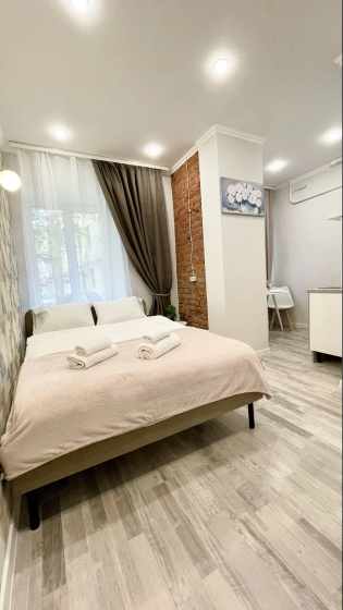 Апартаменты 1 Irooms на Боровой 10 — отзывы гостей и цены