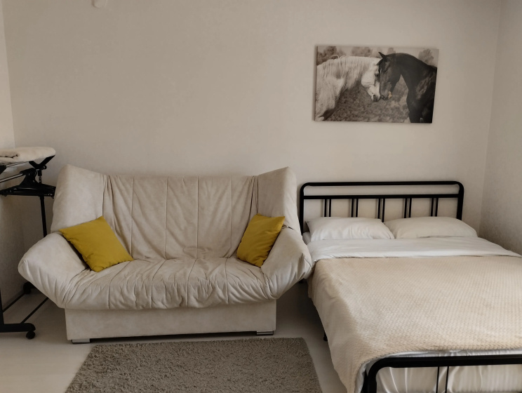 Apartamenty Uutnyj Centr u TC Zemcuzina — забронировать отель в Тобольске