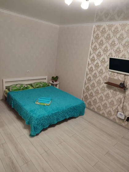 Apartamenty na ulice Partizanskaa 203 — отель с удобным расположением в Барнауле