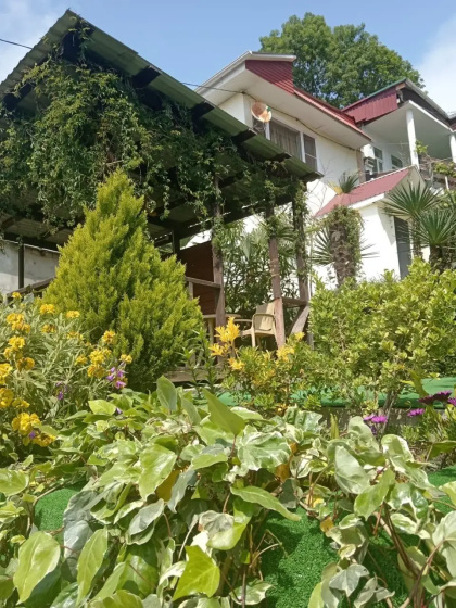 Apelsin Guest House — отель в Сочи, Россия