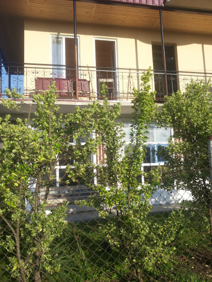 Achi Guest House - Guesthouse in باطومي - Photo 1