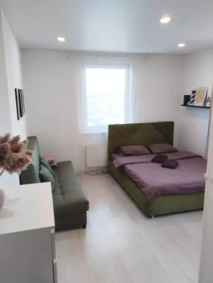 Апартаменты DreamHouse ЖК Эврика — отель с удобным расположением в Екатеринбурге