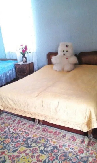 V Kingi Guest House — отель в Очамчира, Абхазия