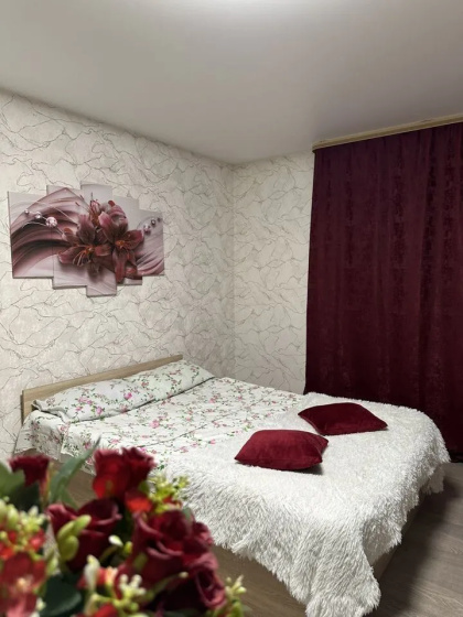 Квартира студия 27 м² на Курыжова 16 — отзывы гостей и цены