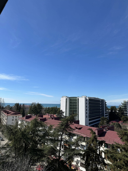 Цены на Квартира на Краснополянской в Хоста
